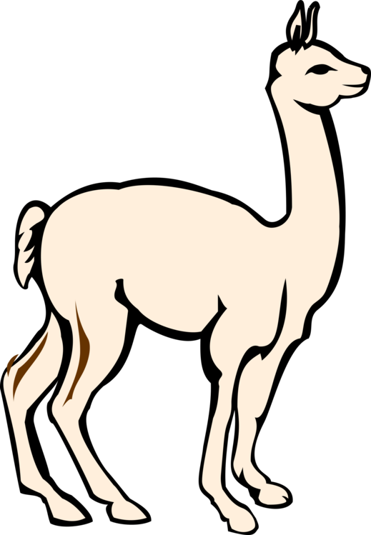 All Photo Png Clipart - Alpaca (519x749)
