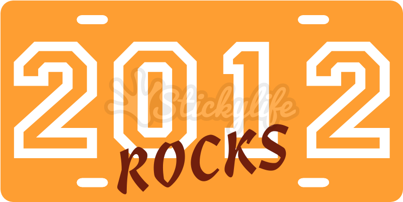 Graduation License Plate - Its My Birthday 16 Boy (800x740)