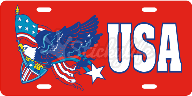 Usa License Plate - United States Of America (940x587)