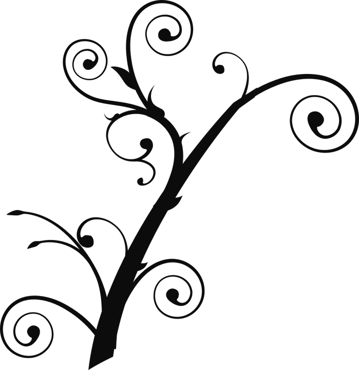 Tree Branch Curly - Tree Branch Clip Art (699x720)
