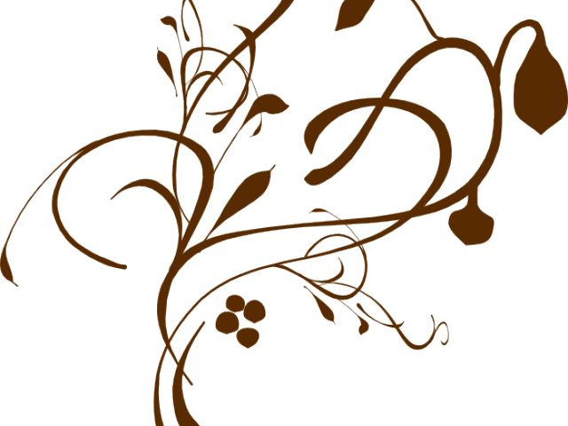 Curly Clipart Transparent - Vines Clip Art (640x480)