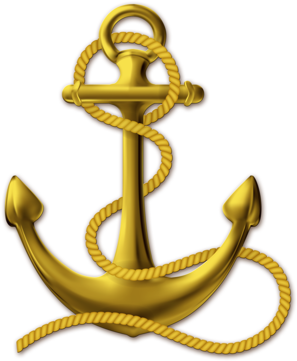Album - Gold Anchor Shower Curtain (800x800)
