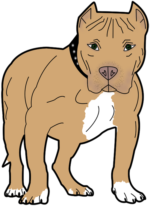 Bull,staffordshire - Pitbull Cartoon Transparent (523x720)