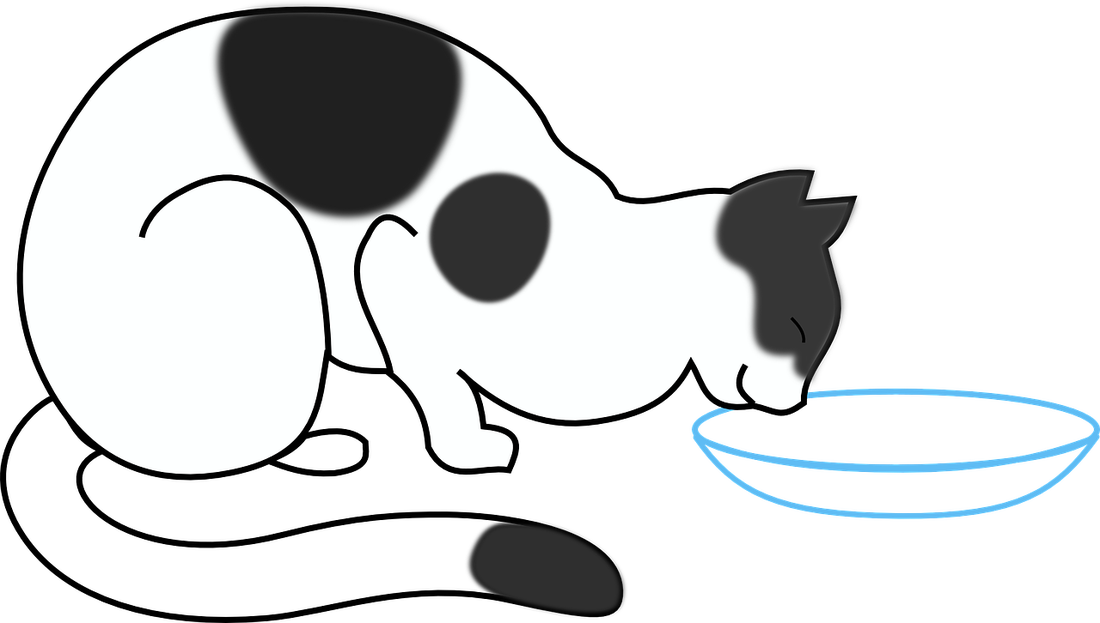 Cat Drinking Milk Cartoon (1100x623)