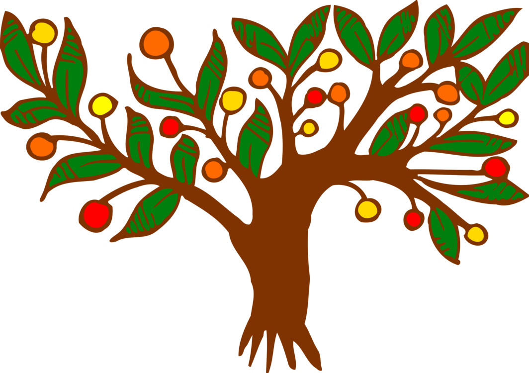 Fruit Tree Color Drawing Branch - Colour Clip Art Of A Tree (1064x750)