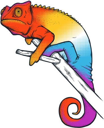 Svg Royalty Free Stock Confused Tee Fury Llc - Confused Chameleon (571x495)