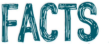 Facts And Effects Of Mdma/ecstasy River Oaks - Dispel Myth (488x246)