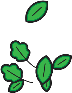 Low Carb Leafy Greens Illustration Leaves Illustration - Illustration (450x386)