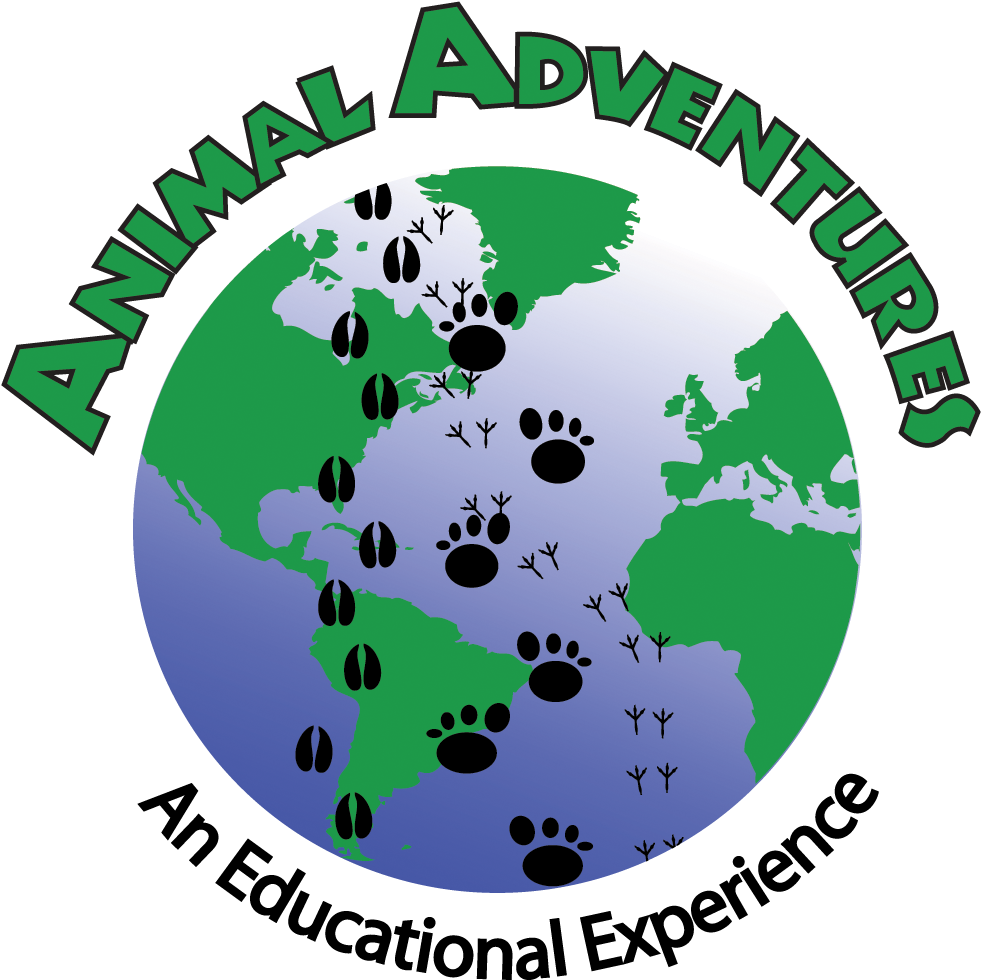 Animal Adventures - Animal Adventures Family Zoo & Rescue Center (1108x1116)