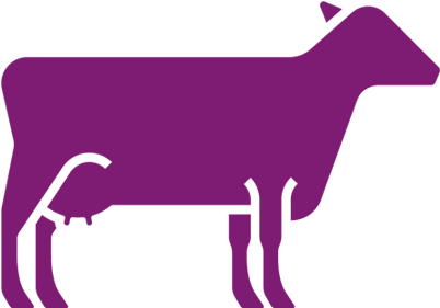 Pmi - Feed Additive (450x300)