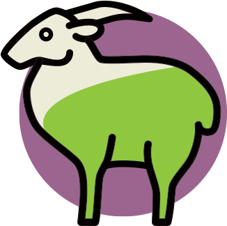 The Domestic Goat Is A Widely Distributed Small Ruminant - Goat (450x400)