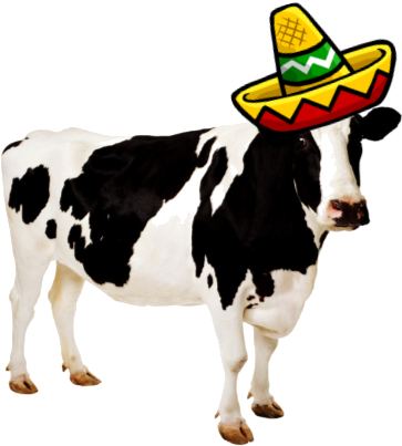Cinco De Mayo "beefsteak Fiesta" - Farm Animals: Photographic [book] (389x426)