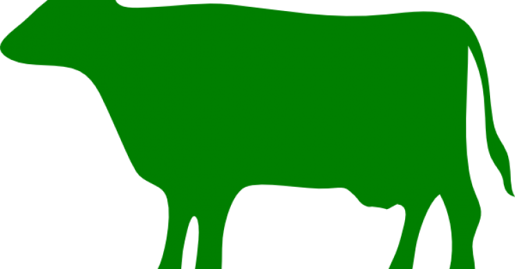 How Now Green Dow - Cow Silhouette Grey (745x390)