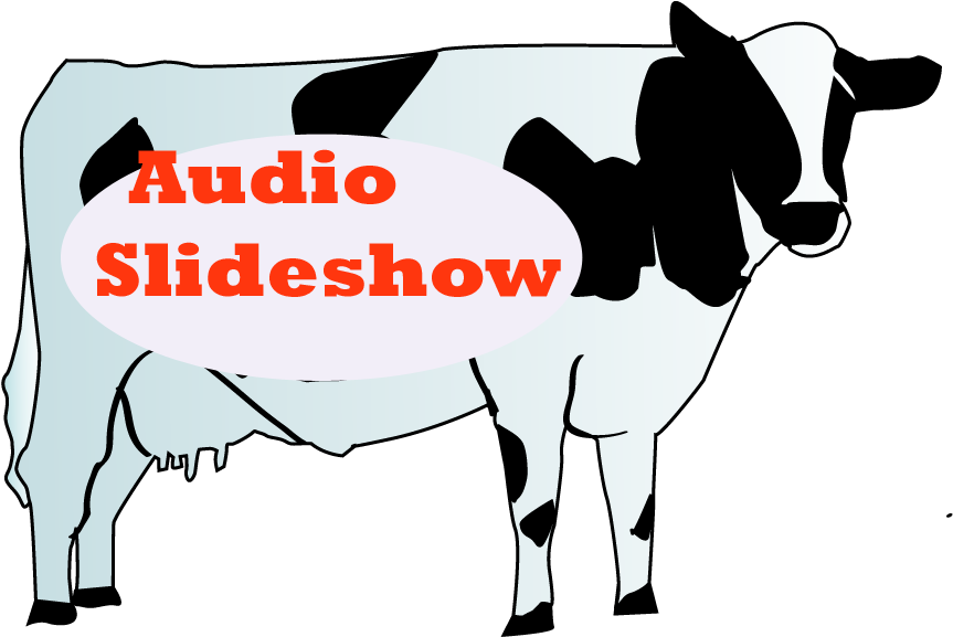 I Did Mine On The Milk Pail Market , Its Livelihood - Happy Hour (918x747)