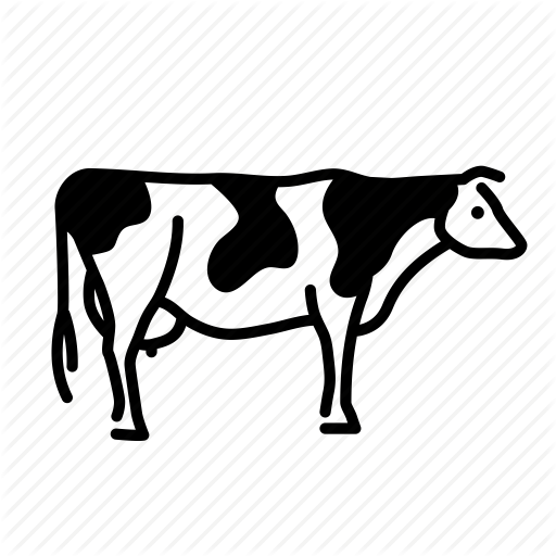 Cow Icon Png (512x512)
