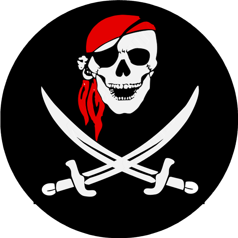 Pirate Skull Sabres - Sansibar Logo (768x768)
