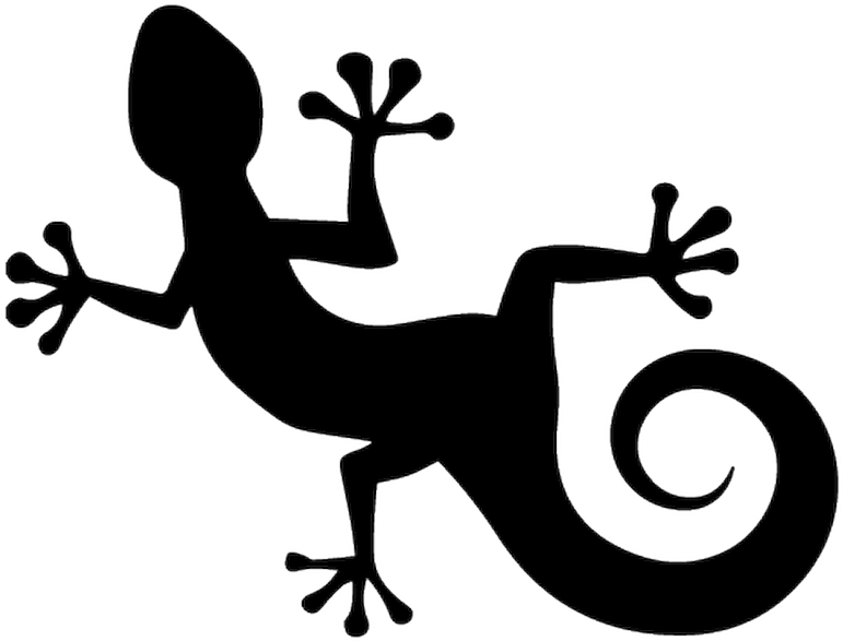 Ranas Blanco Y Negro (800x800)