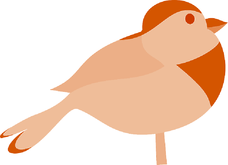Robin Bird Silhouette - Bird Clip Art (800x582)