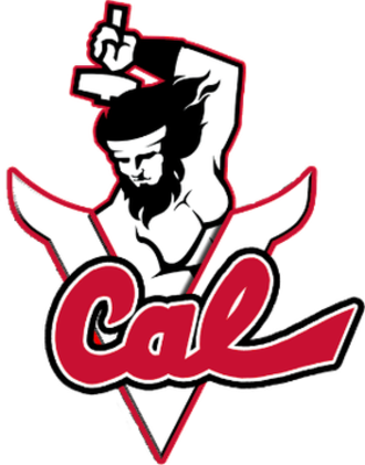 2017 California Vulcans Football Team - Cal U Of Pa Logo (330x421)