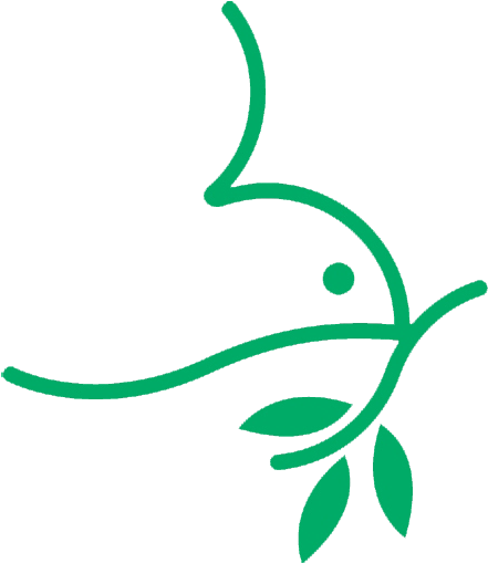 Mennonite Church Usa (453x508)