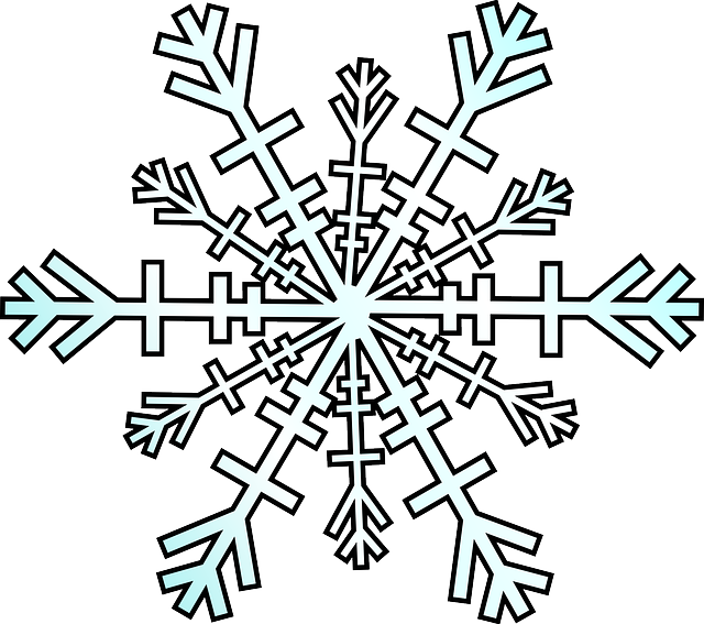 Copo De Nieve - Snowflake Clipart (640x567)
