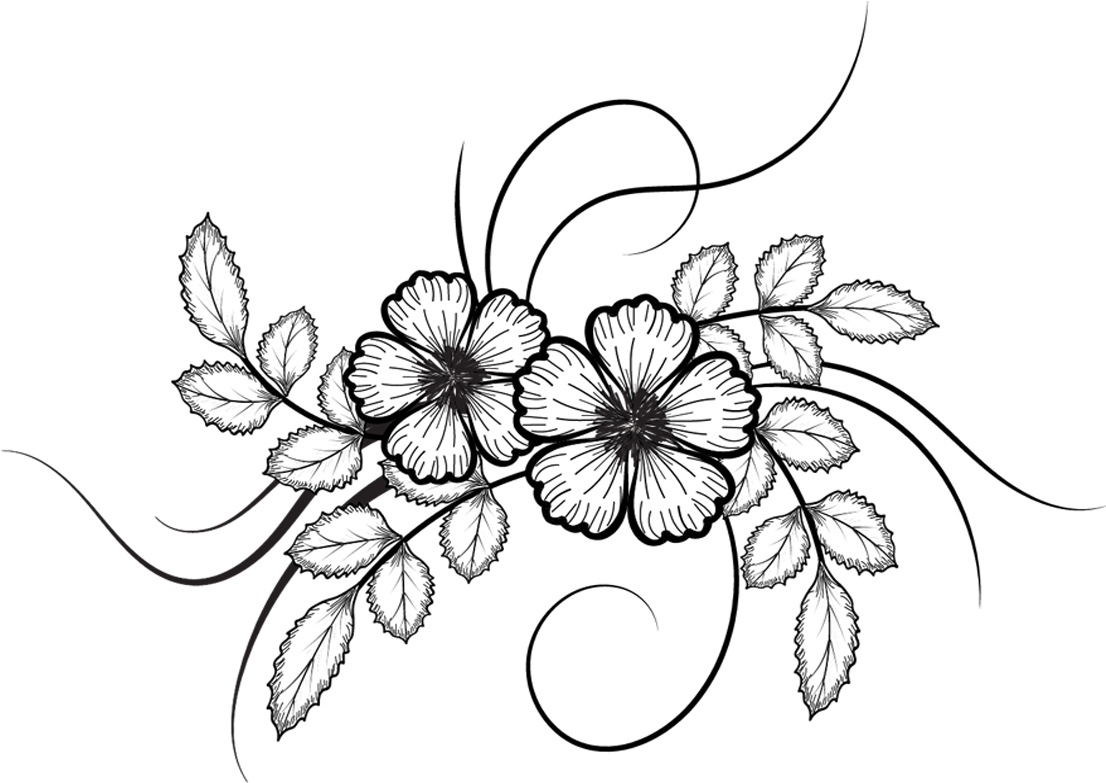 Chalk Flower Drawing Png - Flower Drawing Png (1105x800)