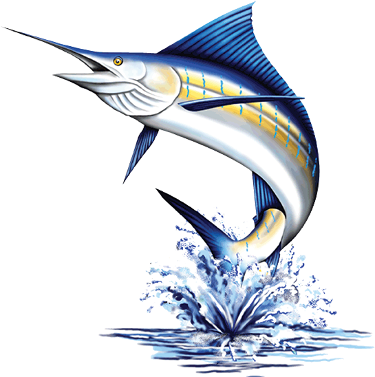 Northside - Seafood Express & More (578x578)