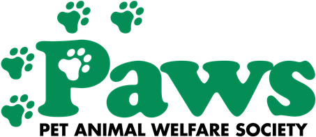 Raven's Choice Pet Pet Pals- Sugar And Cookie - Payless Shoesource Logo (535x259)