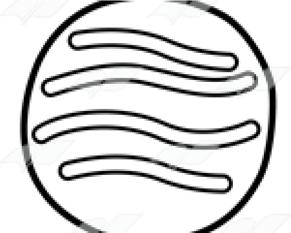 Sugar Clipart Sugar Cookie - Tsv Glinde (640x480)