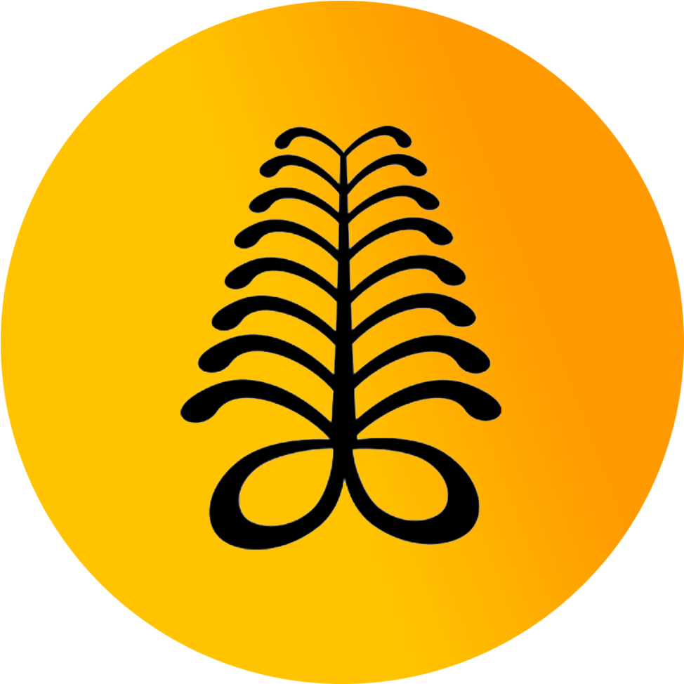 Assessments Of The Specific Programs To Help Determine - Adinkra Symbols (1000x1000)