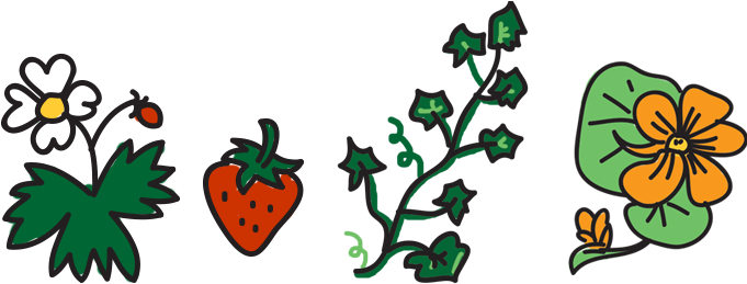 Lucky Garden Co - Lucky Garden Co (789x258)