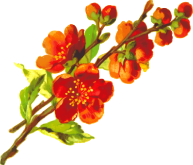 Flower Rose Floral Design Plant Symbolism - 47.2x70.9 Flower Bamboo Natural Rug Housewarming Brown (398x340)