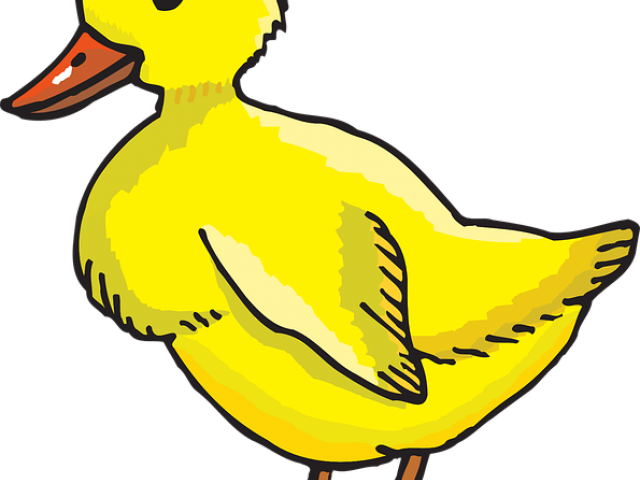Duckling Clipart Duck Tail - Duckling Clipart (640x480)