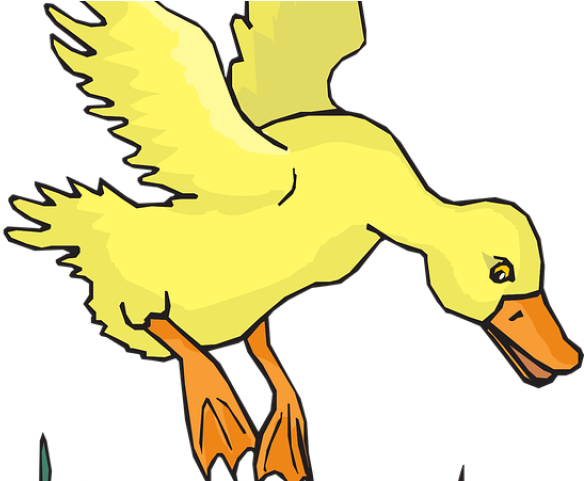 Duckling Clipart Wing - Goska Clipart (640x480)