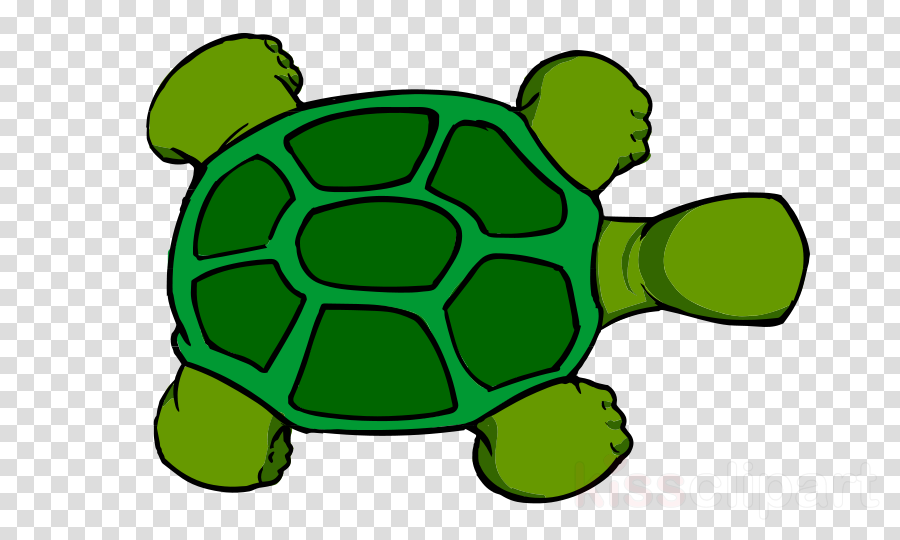 Cartoon Turtle Top View Clipart Sea Turtle Reptile - Logo Chef Transparent Background (900x540)