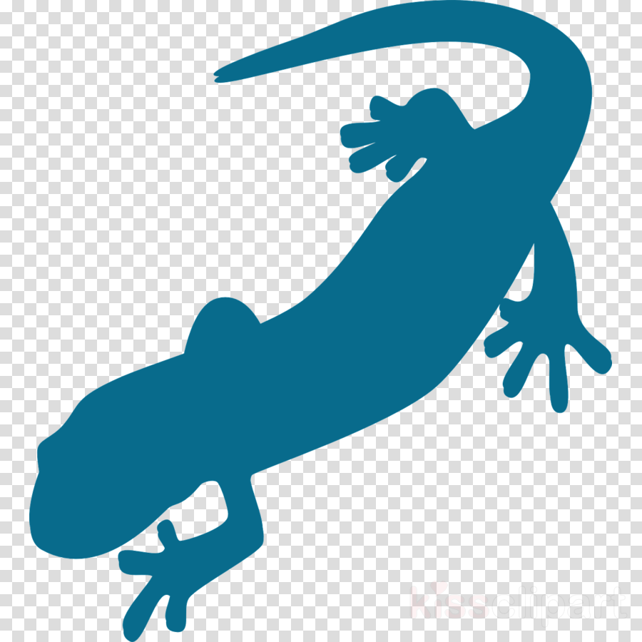 Salamander Clip Art Clipart Salamander Newt Clip Art - Newt Clipart (900x900)