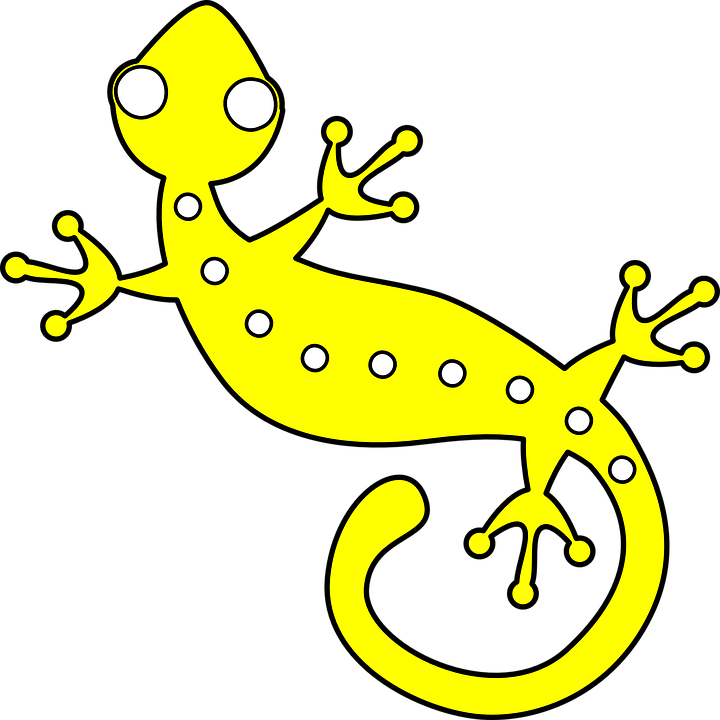 Collection Of Newt Clipart - Yellow Spotted Lizard Transparent (720x720)