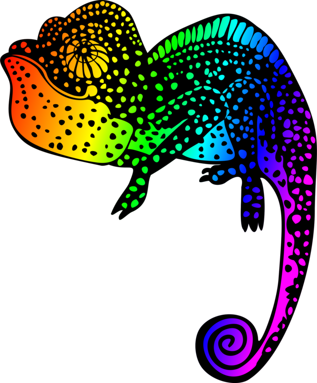 Chameleons Reptile Drawing Line Art Silhouette - Chameleons (621x750)