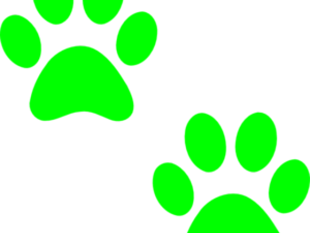 Dog Paws Png Cartoon (640x480)