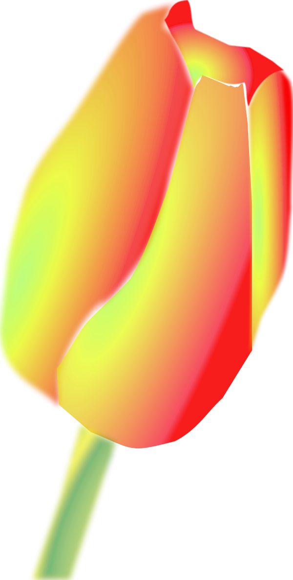 Vector Clip Art - Tulip Clip Art (600x1185)