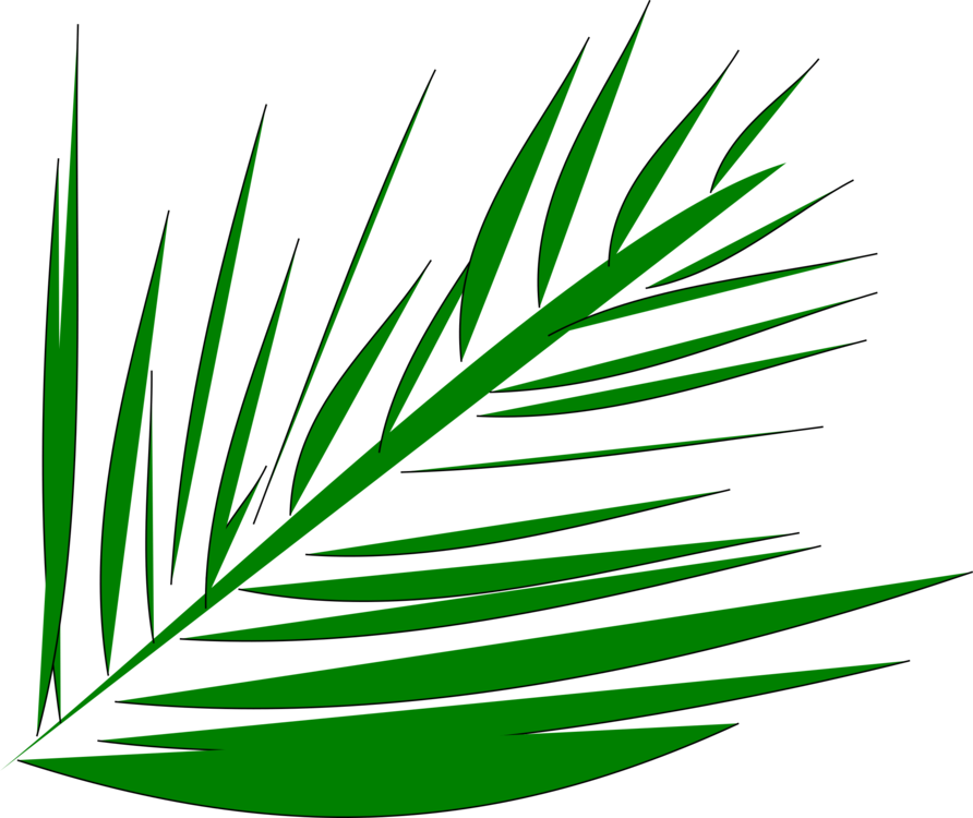All Photo Png Clipart - Palm Trees Lent Transparent Background (892x750)