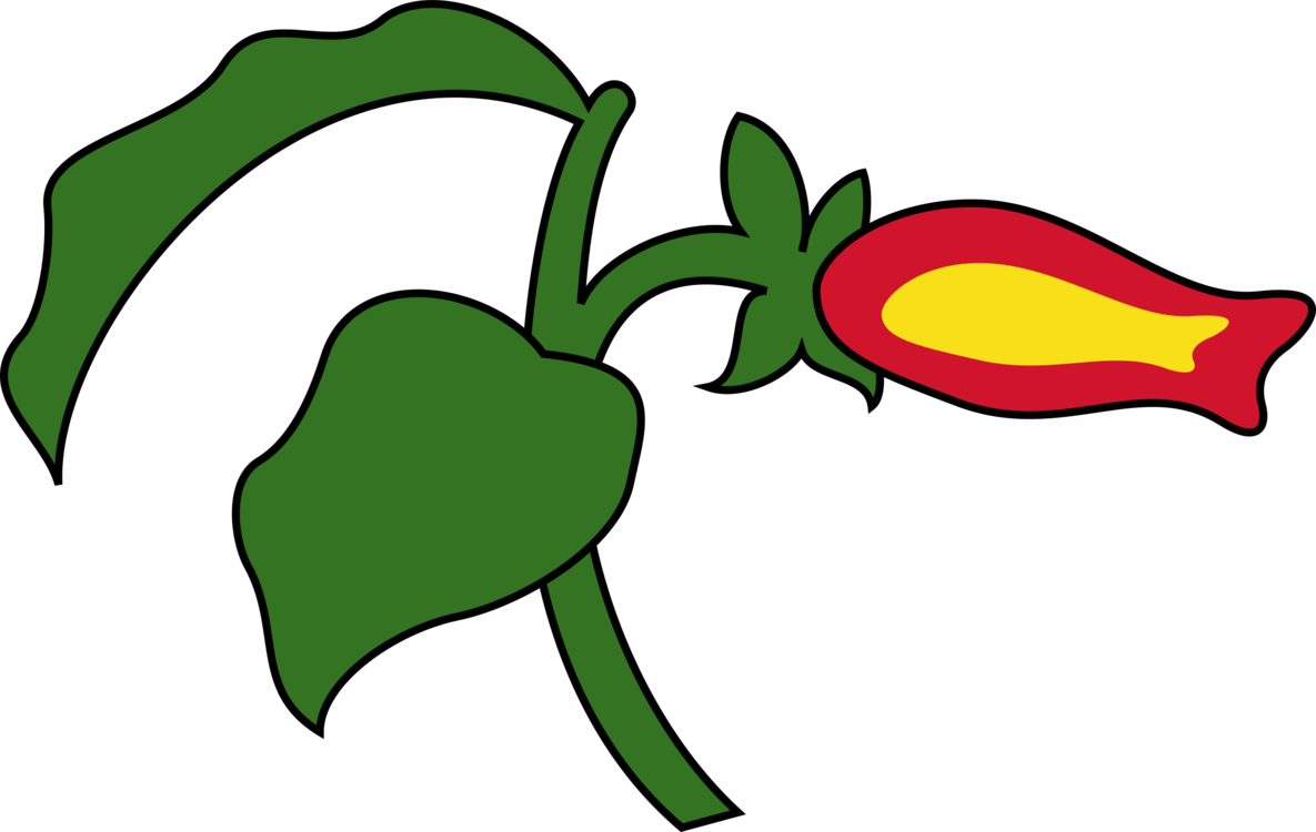 Petal Green Leaf Pitcairn Islands Flowering Plant - Clip Art (1185x750)