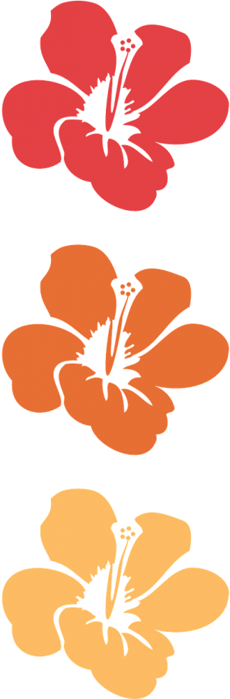 ดอกไม้ ฮาวาย (500x1000)