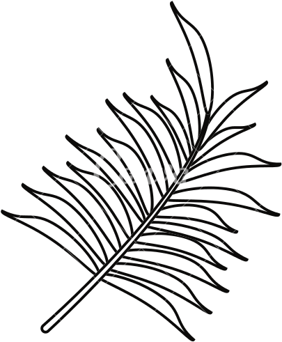Tropical Leaves Png Transparent In Balck - Palm Leaf Outline (550x550)
