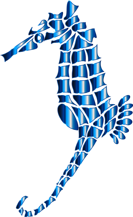 All Photo Png Clipart - Seahorse (460x750)
