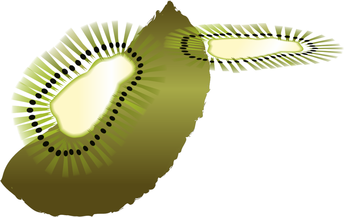 Kiwifruit Computer Icons Bird Coloring Book - Clip Art (1188x750)