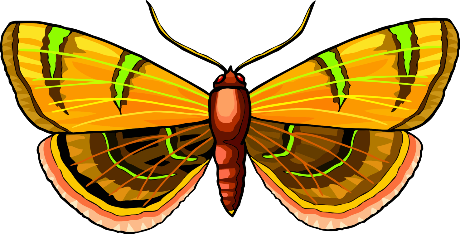 Monarch Butterfly Moth Pieridae Brush-footed Butterflies - Butterfly (1475x750)