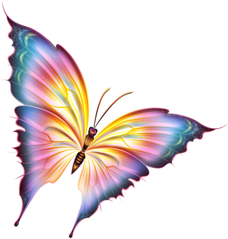 Cartoon Butterfly, Butterfly Clip Art, Butterfly Drawing, - Beautiful Butterflies Cartoon (479x500)