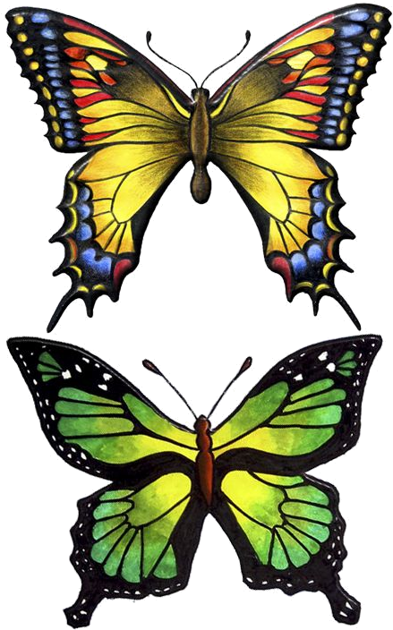 Butterfly And Winged Beauty Art - Drawing (576x720)