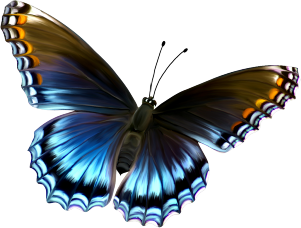 Tube Animaux - Butterfly Transparent (600x455)